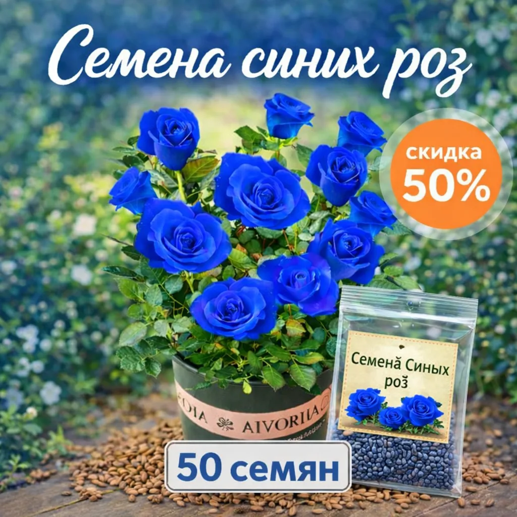 Семена синих роз — упаковка и куст в горшке